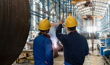 Environmental Consulting